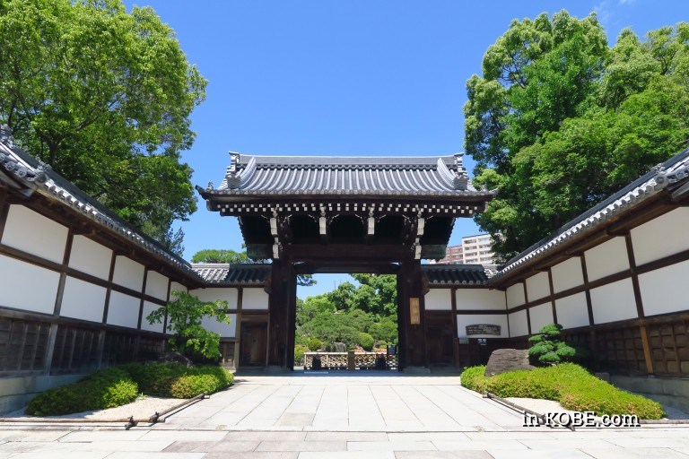 【観光】日本庭園「相楽園」が若者に人気　一体なぜ⁈